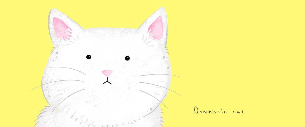 drawing of a white cat on a yellow background