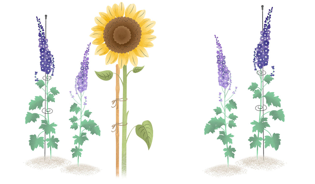 drawing of yellow sunflower and purple stocks